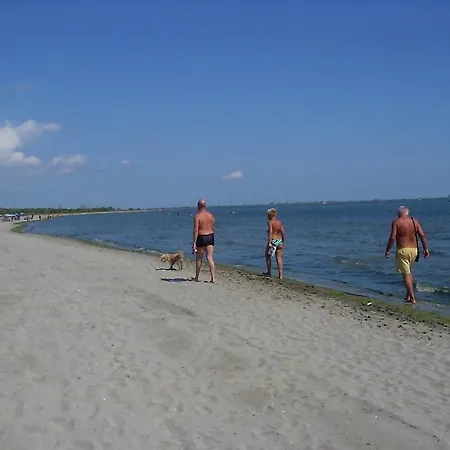 Resy - 8 Appartamento Lido di Volano